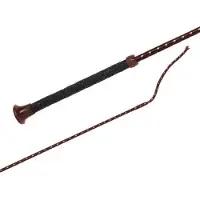 Fleck Economy 03716 Softgrip Dressuur Rijzweep Bruin 130 cm