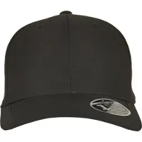 Flexfit Pet zwart