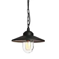 Elstead Lighting Klampenborg buiten hanglamp, IP44, zwart Klampenborg, dimbaar, zwart, Roestvrij staal, Landelijk