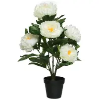 Everlands Pioenroos In Pot Polyester In Pot:ja Type Presentatie:in Pot