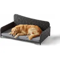 Relaxdays Hondenbed, riet, XL, afmetingen: 38x87x49 cm, verhoogd hondenligbed met kussen, hondenbank, geschikt voor binnen en buiten, grijs