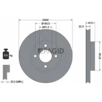 PAGID 55399NC Remschijf