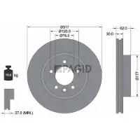 PAGID 54345NHC Remschijf