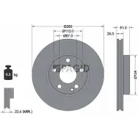 PAGID 55570NHC Remschijf