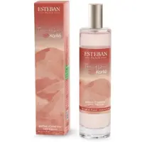 Esteban Interieurparfum Verstuiver Terre d'Ocre Karite 75 ml