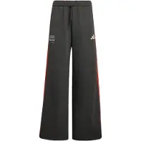 Adidas Sportbroek 'Audi Formula One Team DNA' donkergrijs / kreeft / wit