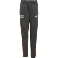 Adidas Sportbroek 'Audi Formula One Team Dna' rood / zwart / wit