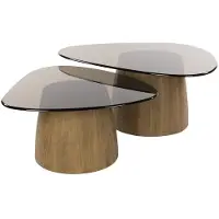 Hoyz Collection salontafel tinto driehoekig set van 2 brons glas