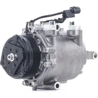 RIDEX 447K0421 Aircopomp