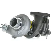 RIDEX 2234C10542 Turbocharger