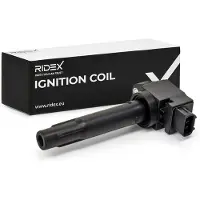 RIDEX 689C0529 Bobine