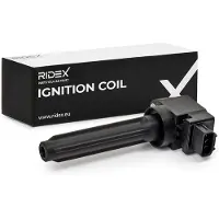 RIDEX 689C0513 Bobine