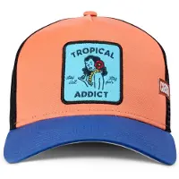 Coastal Pet 'Tropical Addict' lichtblauw / donkerblauw / abrikoos / zwart