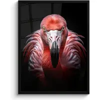 PosterMonkey Poster in lijst - Fotolijst 50x70 cm - Posters - Flamingo - Vogel - Portret - Dieren - Zwart - Posterlijst zwart - Decoratie - Wanddecoratie woonkamer - Muurdecoratie slaapkamer