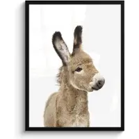 PosterMonkey Poster in lijst - Fotolijst 50x70 cm - Posters - Ezel - Bruin - Dieren - Natuur - Posterlijst zwart - Decoratie - Wanddecoratie woonkamer - Muurdecoratie slaapkamer