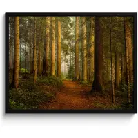 PosterMonkey Poster in lijst - Fotolijst 70x50 cm - Posters - Bos - Natuur - Bomen - Landschap - Bladeren - Posterlijst zwart - Decoratie - Wanddecoratie woonkamer - Muurdecoratie slaapkamer