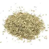 Ancient Wisdom Venkel (zaad) - 1kg