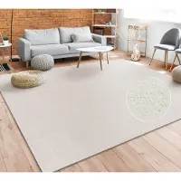 Paco Home Vloerkleed Woonkamer Effen Eenvoudig En Modern Laagpolig, Versch. Afmetingen Kleuren 160x220 cm
