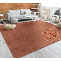 Paco Home Vloerkleed Woonkamer Effen Eenvoudig En Modern Laagpolig, Versch. Afmetingen Kleuren 120x170 cm