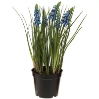 Viana Kunsthyacinten in een blauwe pot 24cm