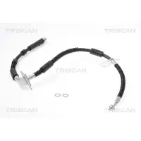TRISCAN 8150 17305 Remslang