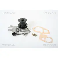 TRISCAN 8600 25080 Waterpomp