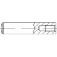 Toolcraft TO-9979362 Cilindrische pen (Ø x l) 20 mm x 45 mm M10 Staal 25 stuk(s)