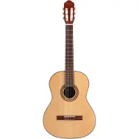 Javier Enriques CAG-50NT Natural 4/4-formaat klassieke gitaar naturel