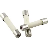 Eska 527.25 52725 Buiszekering (Ø x l) 5 mm x 25 mm 6.3 A 250 V Snel -F- Inhoud 10 stuk(s)