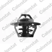 CALORSTAT by Vernet TH6244.92J Thermostaat, koelvloeistof