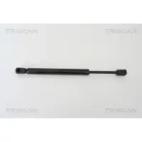 TRISCAN 8710 29260 Gasveer achterklep