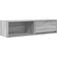 vidaXL Tv-meubel 100x31x25,5 cm spaanplaat grijs sonoma