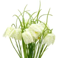 Viana Schaakbordbloemen Fritillaria kunstwit, groen 40cm 12 st, 12 Stück