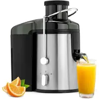 Ren Sapcentrifuges groenten en fruit - Sapcentrifuges - Slowjuicer - Zwart/Zilver - ‎10cm x 10cm x 10cm