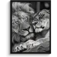PosterMonkey Poster in lijst - Fotolijst 50x70 cm - Posters - Leeuwen - Dieren - Zwart - Wit - Leeuw - Posterlijst zwart - Decoratie - Wanddecoratie woonkamer - Muurdecoratie slaapkamer