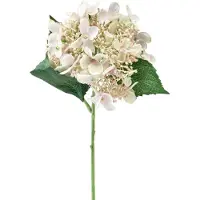 Viana Hortensia kunstcreme tuinbloem met knoppen 52cm