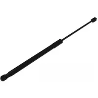 AUTOMEGA 100099810 Gasveer achterklep