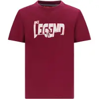 TYGO & vito jersey T-shirt donkerrood Jongens Katoen Ronde hals Printopdruk - maat 110-116