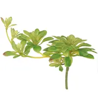 Viana Succulente kunstplant met steker Aeonium Groen 30cm 4 st., 4 Stück