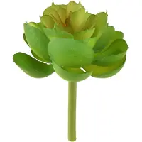 Viana Echeveria Kunstmatige Vetplanten Groen Ø7cm 6 stuks, 6 Stück