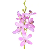 Viana Kunstmatige orchideeën 8 paarse bloemen Ø3,5cm–5cm 2st, 2 Stück