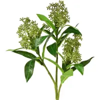 Viana Kunstmatige groene Skimmia japonica bloemen, 45 cm, 2 stuks, 2 Stück