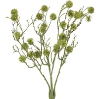 Viana Decoratieve tak amberboomvruchten lichtgroen 48cm