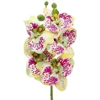 Viana Orchidee kunsttak Phaelaenopsis Groen Roze H49cm