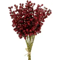 Viana Bessenprikker Rood 23cm 12 stuks, 12 Stück