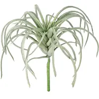 Viana Tillandsia succulente kunstgroene planten 13cm
