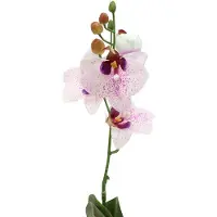 Viana Kunstmatige Phalaenopsis-orchidee, wit en paars, 43 cm