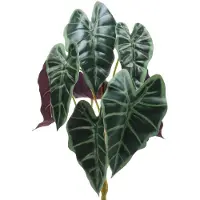 Viana Alocasia arrow bladgroen, violet kunstplant H48cm