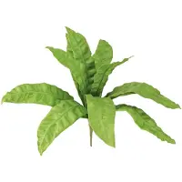 Viana Nestvaren kunstplanten in groen 5,5×22cm 2st, 2 Stück