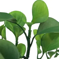 Viana Groene kunstplant vetplant kunstgroen H14cm